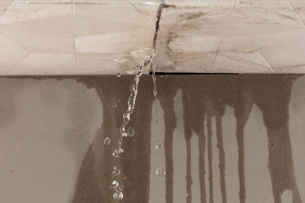 Professional Water Damage Inspection technician working in Buford, WY